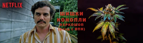 спиды Абаза