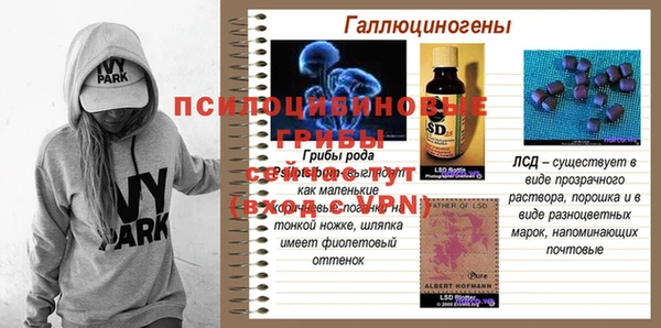 спиды Абаза