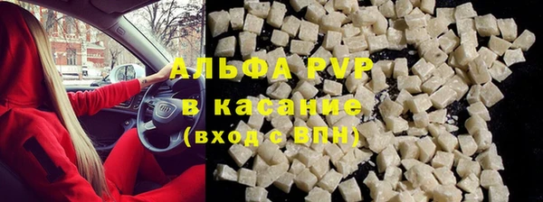 спиды Абаза